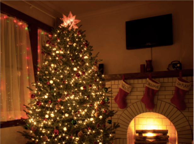 Screen Shot 2019-11-26 at 8.11.56 AM.png