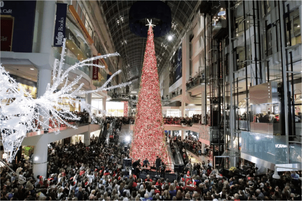 Screen Shot 2019-11-26 at 8.12.22 AM.png