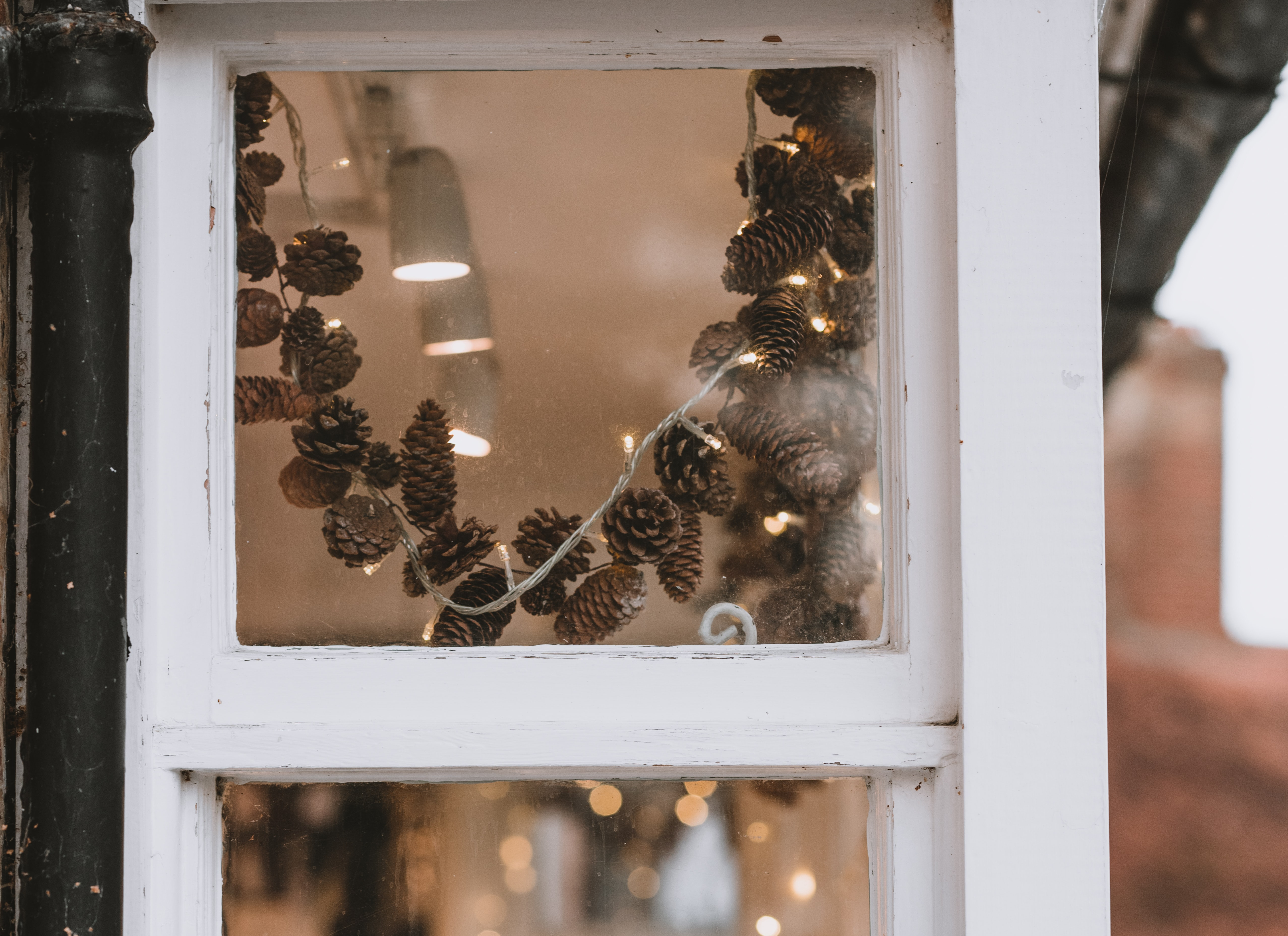 Photo by Annie Spratt on Unsplash